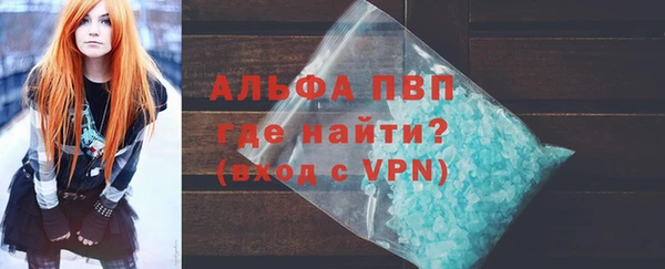 шишки Аркадак