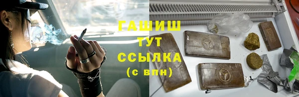 шишки Аркадак