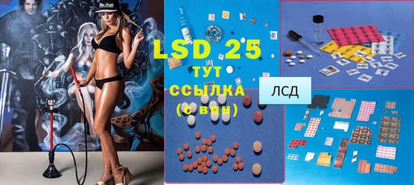 шишки Аркадак