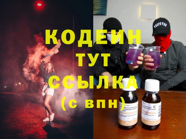 шишки Аркадак
