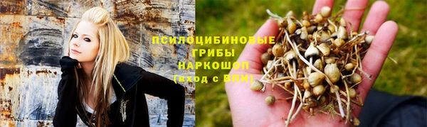 стафф Армянск